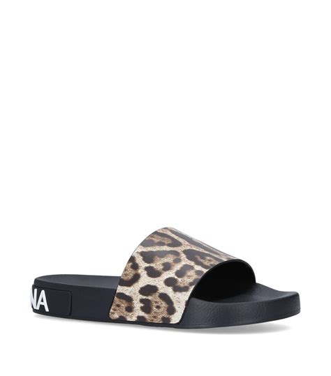 dolce gabbana slides in color changing leopard fabric|Dolce & Gabbana leather mules.